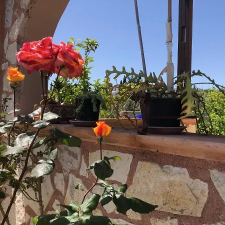 Rosilla